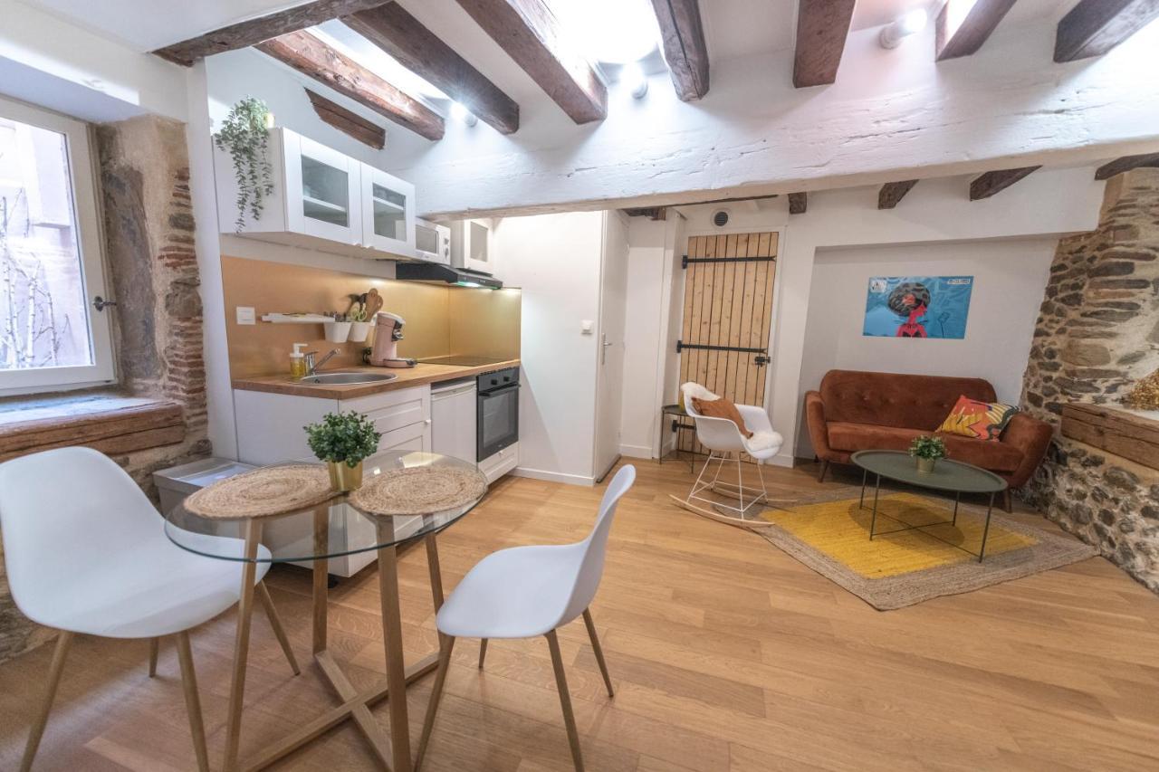 Ferienwohnung Cosylocation - Chaleureux - Hypercentre Vienne  Exterior foto